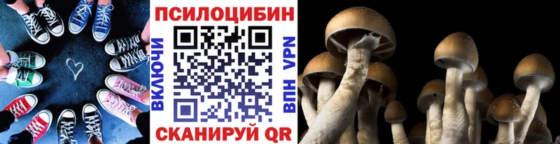 Псилоцибиновые грибы Psilocybine cubensis Усолье-Сибирское