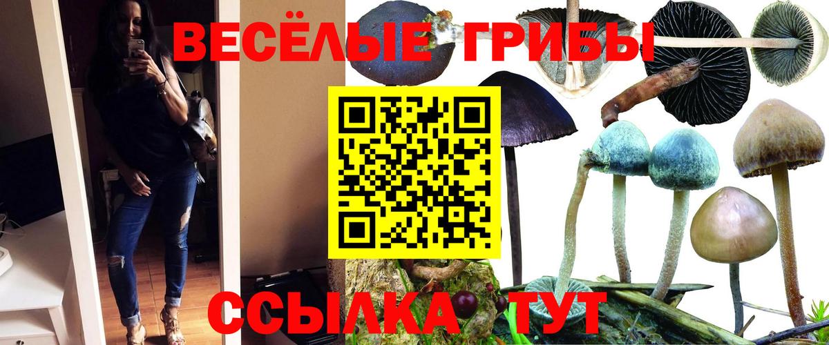 Усолье-Сибирское  Галлюциногенные грибы Magic Shrooms  Вход с VPN  Псилоцибиновые грибы Psilocybine cubensis 